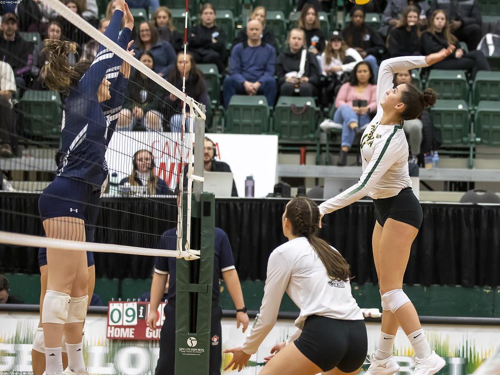 ព័ត៌មានបាល់ឡាយ៖ ការអភិវឌ្ឍន៍និងព័ត៌មានថ្មីៗ