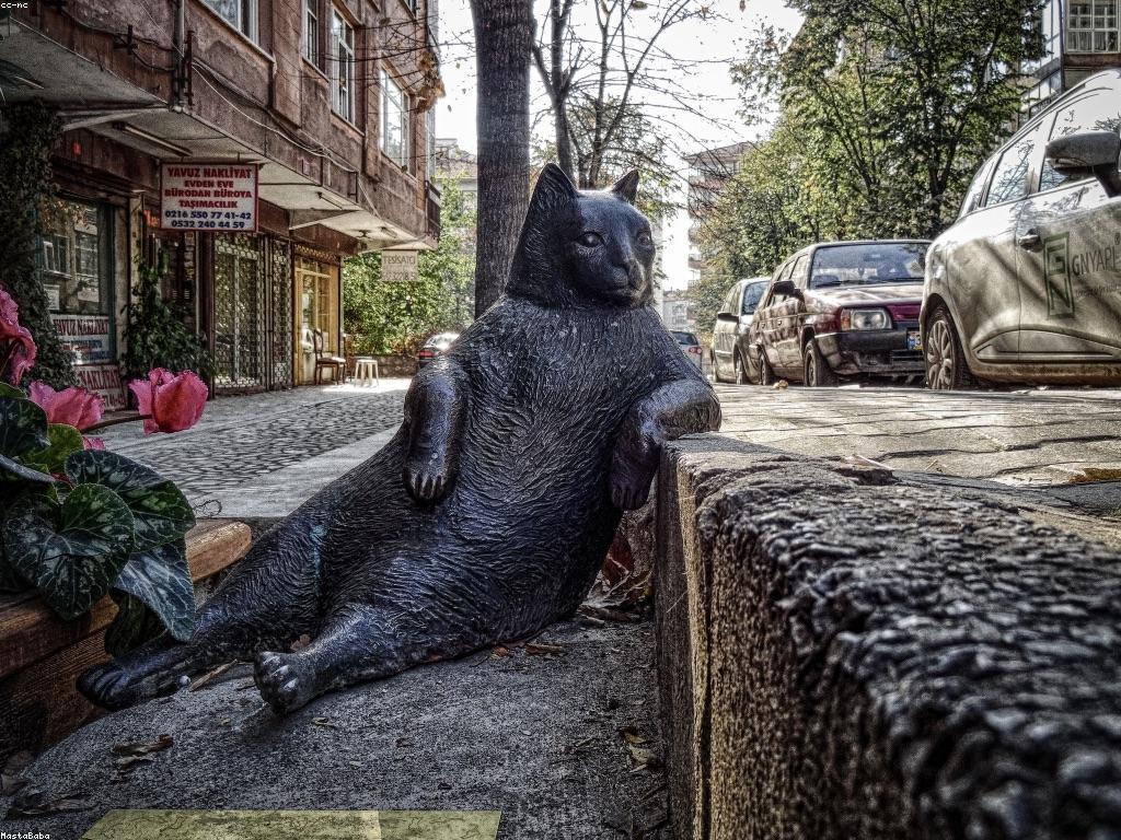 វិទ្យុបាល់ឡាយ: ការបកស្រាយ និងការប្រើប្រាស់សំឡេង