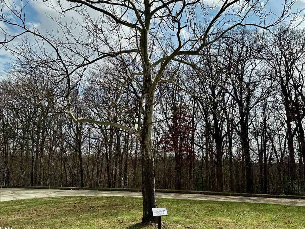 សារៈសំខាន់នៃការវាយតម្លៃក្នុងការអប់រំ